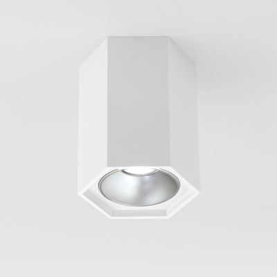 Точечный светильник Elektrostandard 25036/LED 25036/LED