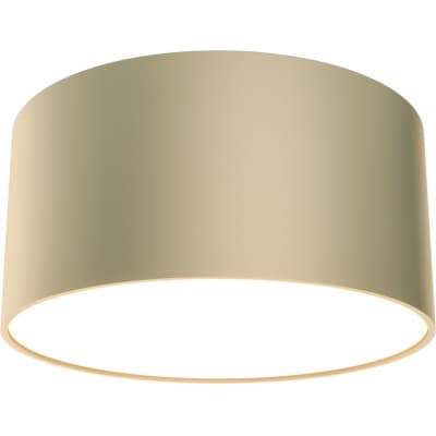 Потолочный светильник Maytoni Zon C032CL-12W4K-RD-MG