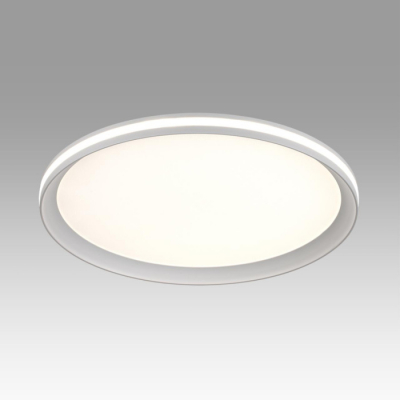Потолочный светильник Sonex Beta 7749/60L