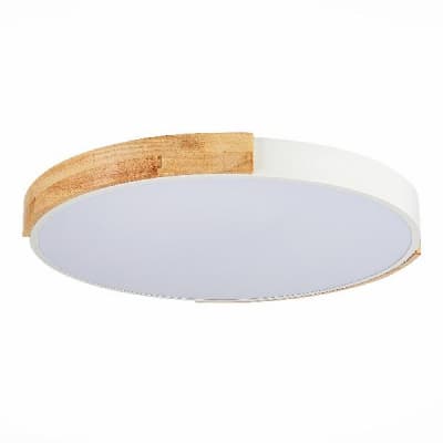 Потолочный светильник Evoluce Delia SLE201352-01