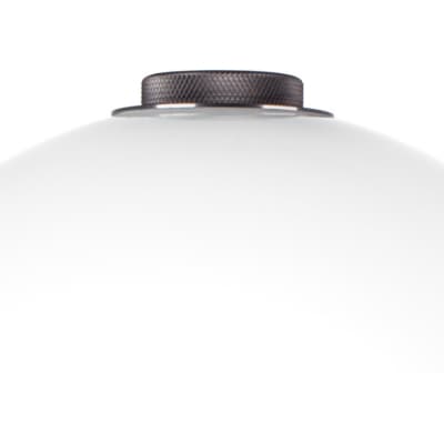 Интерьерная настольная лампа Lightstar Colore 805916