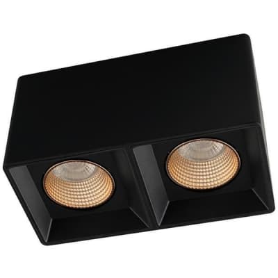 Накладной светильник Denkirs DK3030 DK3085-BK+BR