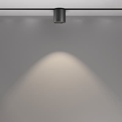 Трековый светильник Maytoni Alfa S TR132-2-7W4K-B