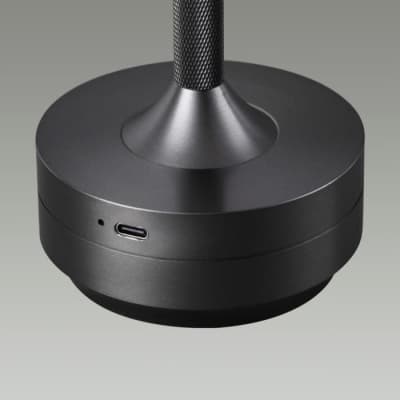 Интерьерная настольная лампа Odeon Light Tet-A-Tet 5034/6TL