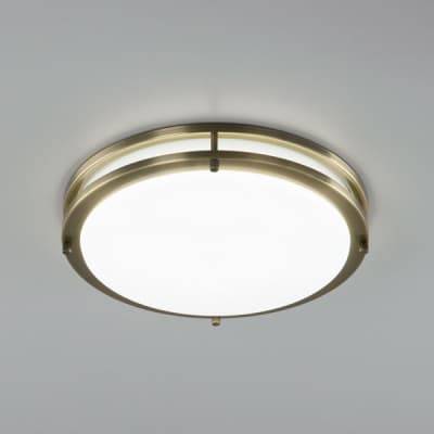 Настенно-потолочный светильник Citilux Бостон CL709323N