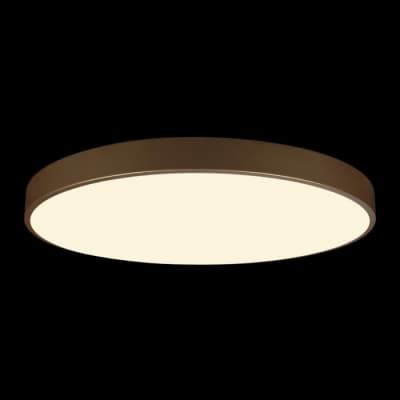 Потолочный светильник Loft It Flims 10228/B