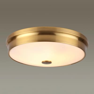 Настенно-потолочный светильник  ODEON LIGHT MARSEI 4824/4C