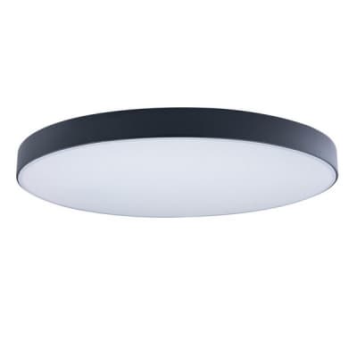 Потолочный светильник Axel 10002/48 Black Loft It