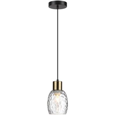 Подвесной светильник Lumion Ice 6562/1A