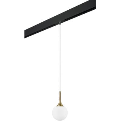 Трековый светильник Lightstar Globo PRO813012