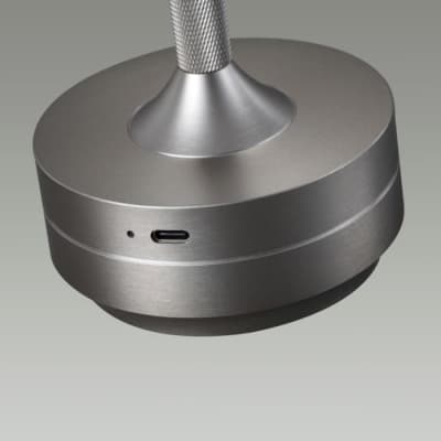 Интерьерная настольная лампа Odeon Light Tet-A-Tet 5035/6TL