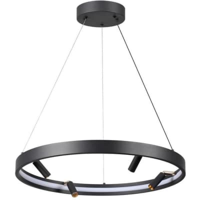 Подвесной светильник Odeon Light Fonda 4317/58L