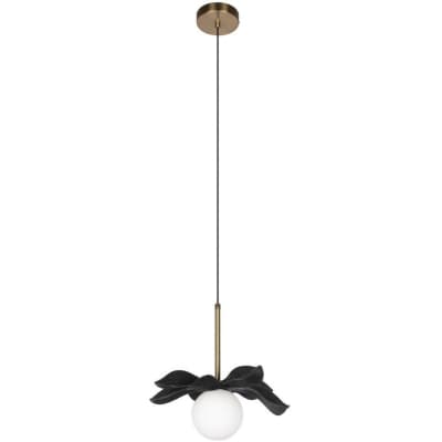 Подвесной светильник Loft It Monro 10213/A Black