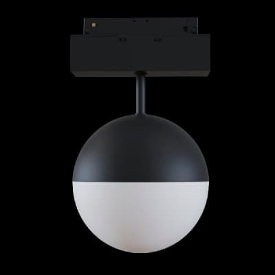 Трековый светильник Maytoni TR017-2-10W4K-B