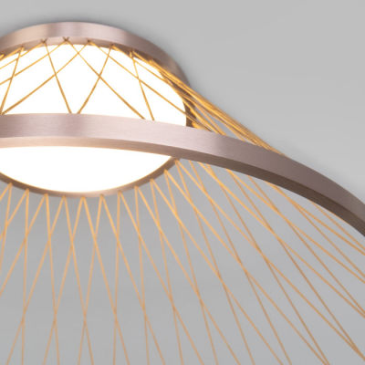 Потолочный светильник Eurosvet Cesta 40019/1 LED коричневый
