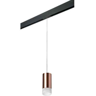 Трековый светильник Lightstar Rullo PRORP43031