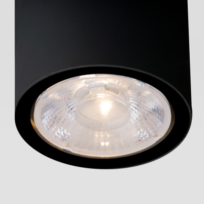 Потолочный светильник уличный Elektrostandard Light LED 35131/H черный