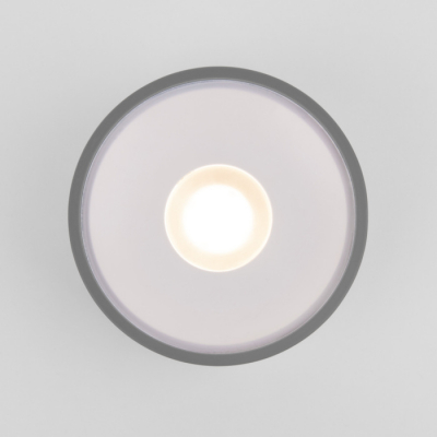 Потолочный светильник уличный Elektrostandard Light LED 35141/H серый