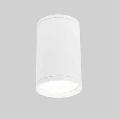 Потолочный светильник уличный Elektrostandard Light 35128/H белый