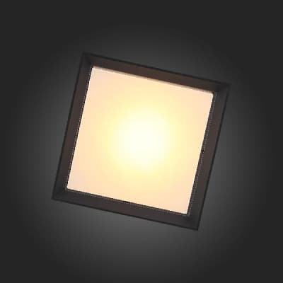 Потолочный светильник уличный Cubista SL077.402.01 ST Luce