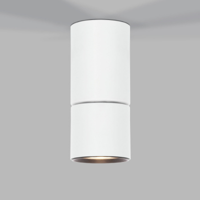 Точечный светильник Elektrostandard Sens 25042/LED