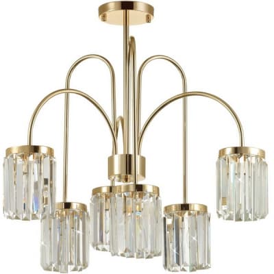 Потолочная люстра Odeon Light Vassa 4987/6C