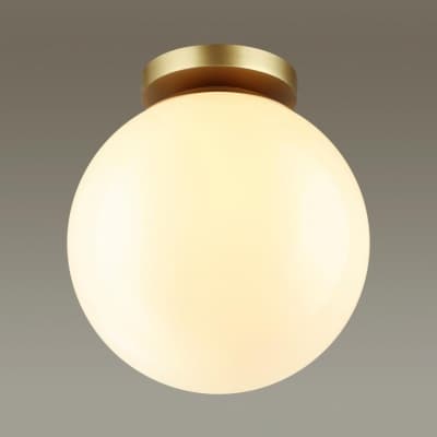 Потолочный светильник ODEON LIGHT BOSCO 4248/1C