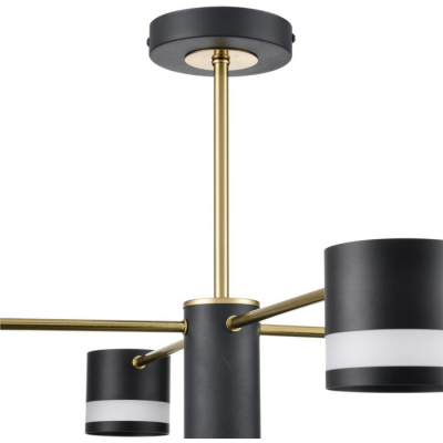 Потолочная люстра Lumion Lanika 8240/8C