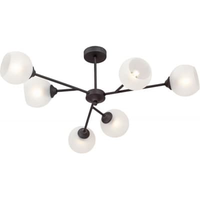 Потолочная люстра Vitaluce V3791-1/6PL