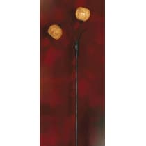 Торшер Lussole Bagheria LSF-6205-02