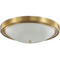 Потолочный светильник Lumion Nina 5259/4C