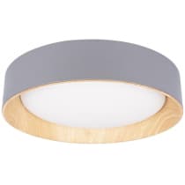 Потолочный светильник Loft It Coin 10202 Grey
