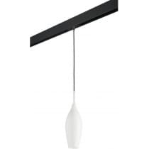 Трековый светильник Lightstar Pentola PRO803020
