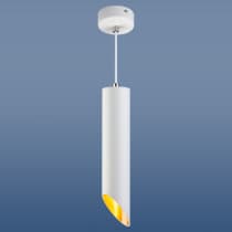 Накладной потолочный  светильник Elektrostandard 7011 MR16 WH/GD