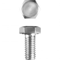 Болт ЗУБР M5 x 10 мм, 5 кг, оцинкованный ГОСТ 7798-70 303080-05-010