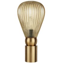 Интерьерная настольная лампа Odeon Light Elica 5402/1T
