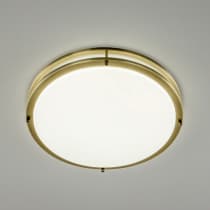 Настенно-потолочный светильник Citilux Бостон CL709503N
