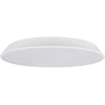 Потолочный светильник Loft It Brim 10226 White
