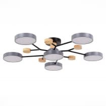 Потолочная люстра Evoluce Faema SLE6006-702-06