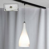 Трековый светильник Rimini LSF-1106-01-TAW Lussole