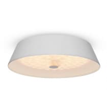 Потолочный светильник Freya Cells FR10013CL-L24W