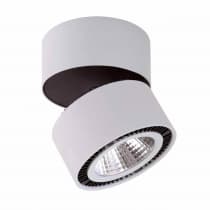 Потолочный светодиодный светильник Lightstar Forte Muro 213859