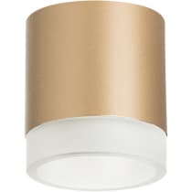 Точечный светильник Lightstar Rullo R349080