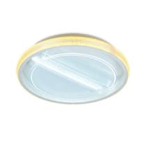 Потолочный светильник ACRYLICA FA602 Ambrella