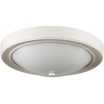 Настенно-потолочный светильник Lumion Nina 5279/2C
