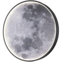 Настенно-потолочный светильник Escada Planet 10226/SG LED Moon