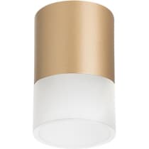 Точечный светильник Lightstar Rullo R349081