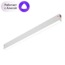 Трековый светильник Smart DK8005-WH Denkirs