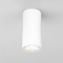 Потолочный светильник уличный Elektrostandard Light LED 35129/H белый