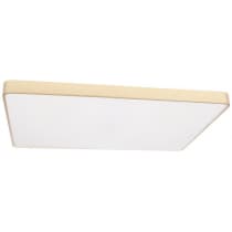 Потолочный светильник Loft It Flims 10228/E